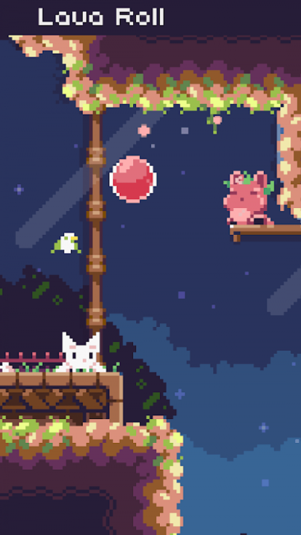 飞天萌猫