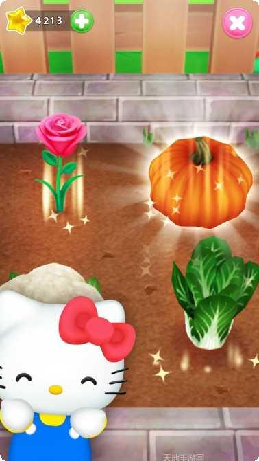 会说话的猫头鹰怎么玩