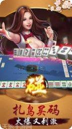 衡岳棋牌安卓版