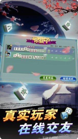 大家玩电玩游戏下载