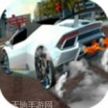 真实极品赛车