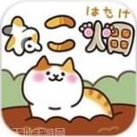 猫咪田田