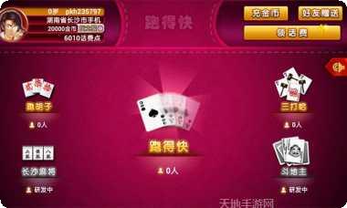 紫金岛跑得快好友对战