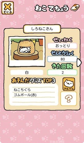 猫咪收藏攻略大全