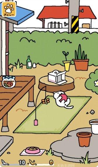 猫咪收藏ios版