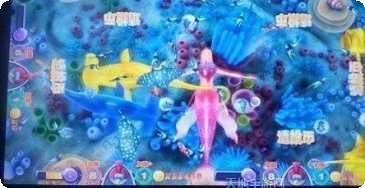 909财神捕鱼安卓版
