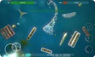 孢子进化论2中文版攻略