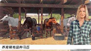 Rivals Rage新手教程