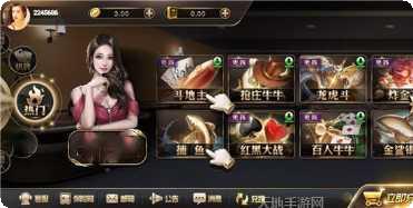 王道游戏攻略