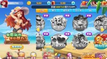 金州娱乐游戏攻略