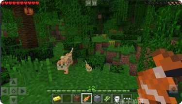 我的世界只差你最新版本