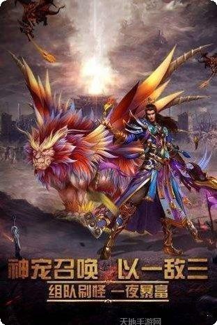 图片4