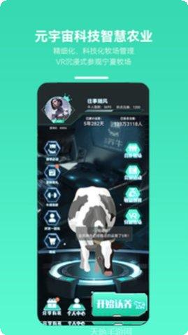 图片3