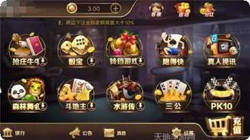 龙圣国际角色选择