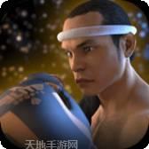 泰拳