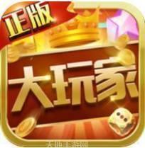 大玩家联盟