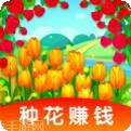 玫瑰小镇
