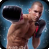 跆拳道对决泰拳
