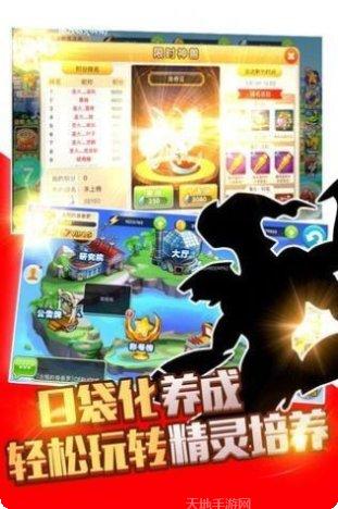 宠物精灵宝可梦BT满V版礼包