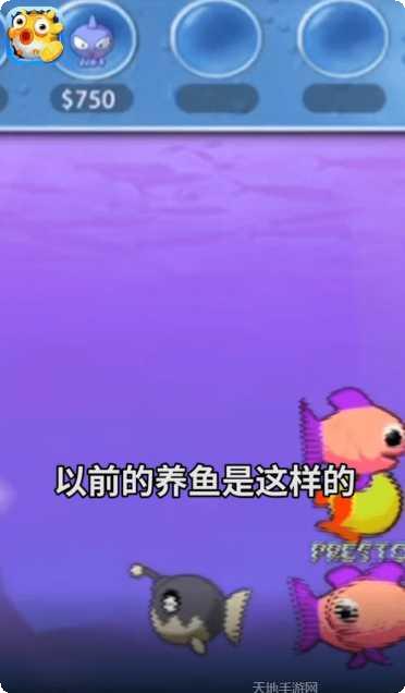 欢乐赚金版玩法