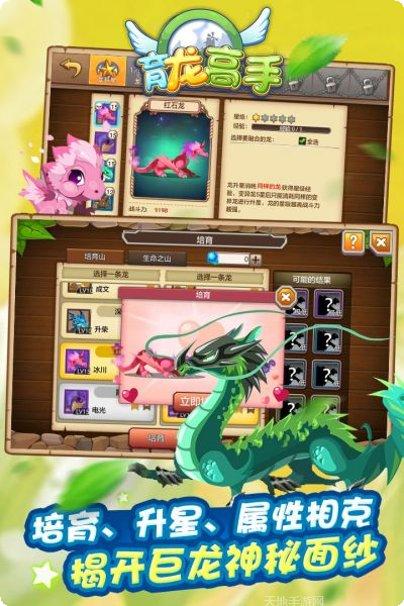 育龙高手玩法介绍