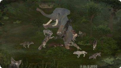 野生动物园猎人生态观察