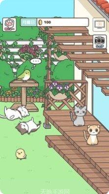 铲屎官的爆笑生活玩法