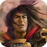 三国志姜维传说