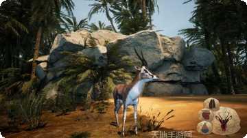 Animal Puzzle动物认知