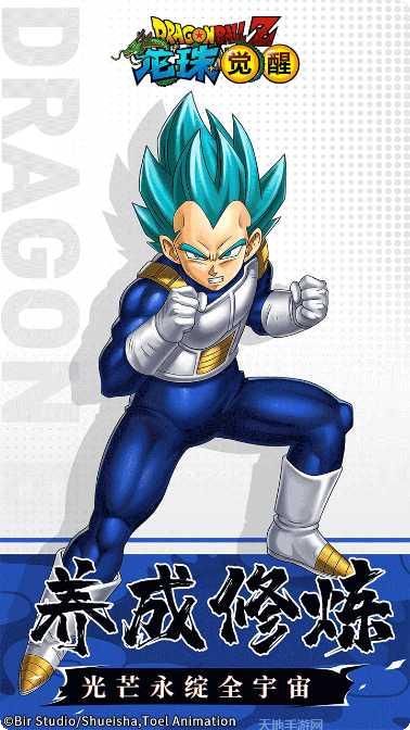 龙珠觉醒游戏下载