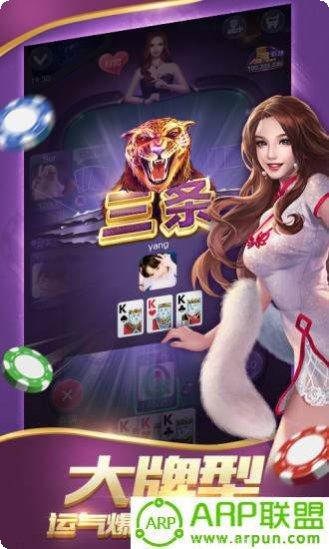 8513棋牌游戏