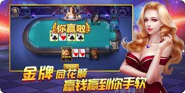 9570娱乐角色介绍