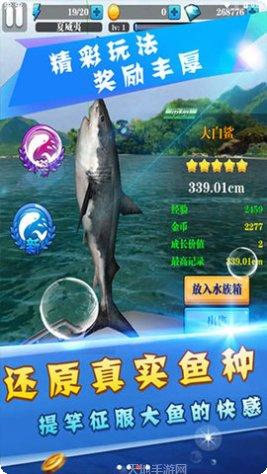 天天爱钓鱼最新版本