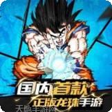 龙珠激斗