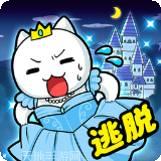 Cat Rocket