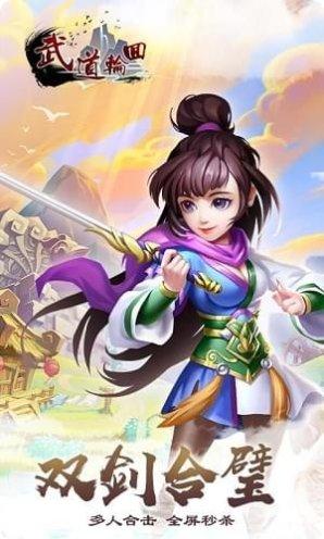 武道轮回下载