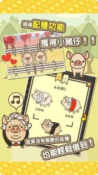 养猪场3D模拟经营
