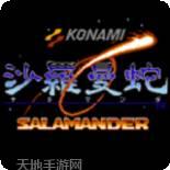沙罗曼蛇