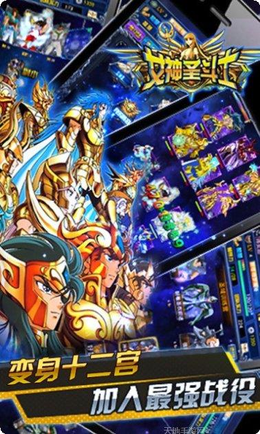 女神圣斗士装备搭配