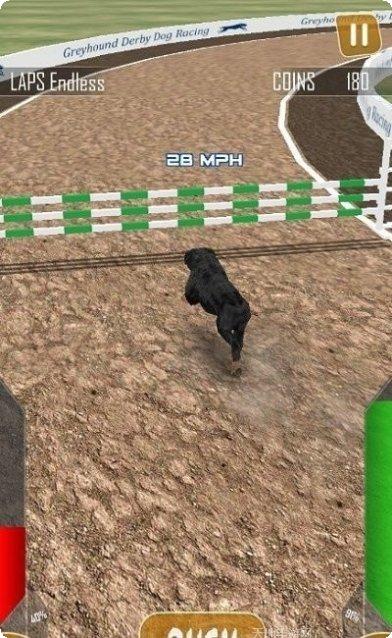 狗狗赛跑3D攻略