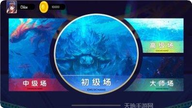 圣狮棋牌玩法