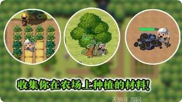 勇敢者的农场激活码