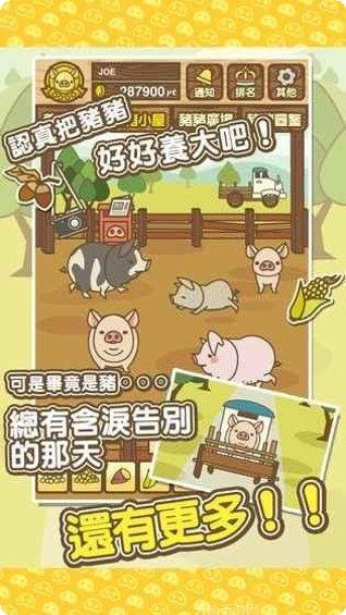 养猪场3D动物养殖