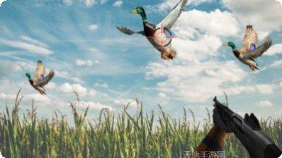野外猎鸭模拟器玩法介绍