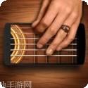 真正的狮子模拟器