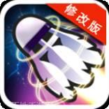 羽毛球公开赛