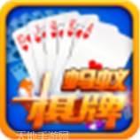 蚂蚁海南棋牌