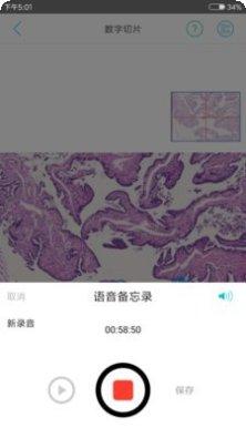 91360会诊专家咨询