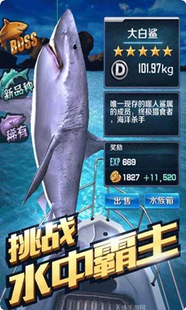 全民钓鱼比赛