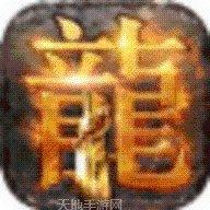 单职业霸王攻略
